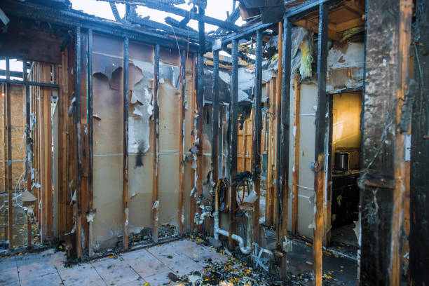 Professional Smoke Damage Removal technician working in Roanoke, VA